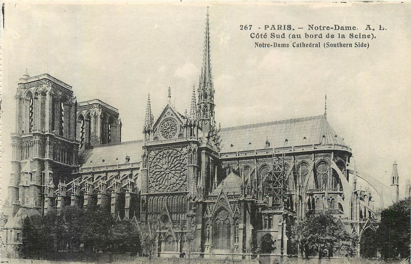 CPA Paris Notre Dame Cote sud au bord de la Seine 