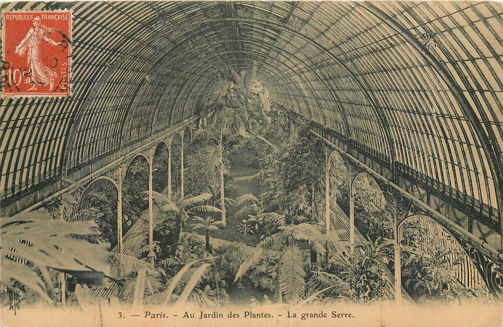 CPA Paris Au Jardin des Plantes la grande Serre 