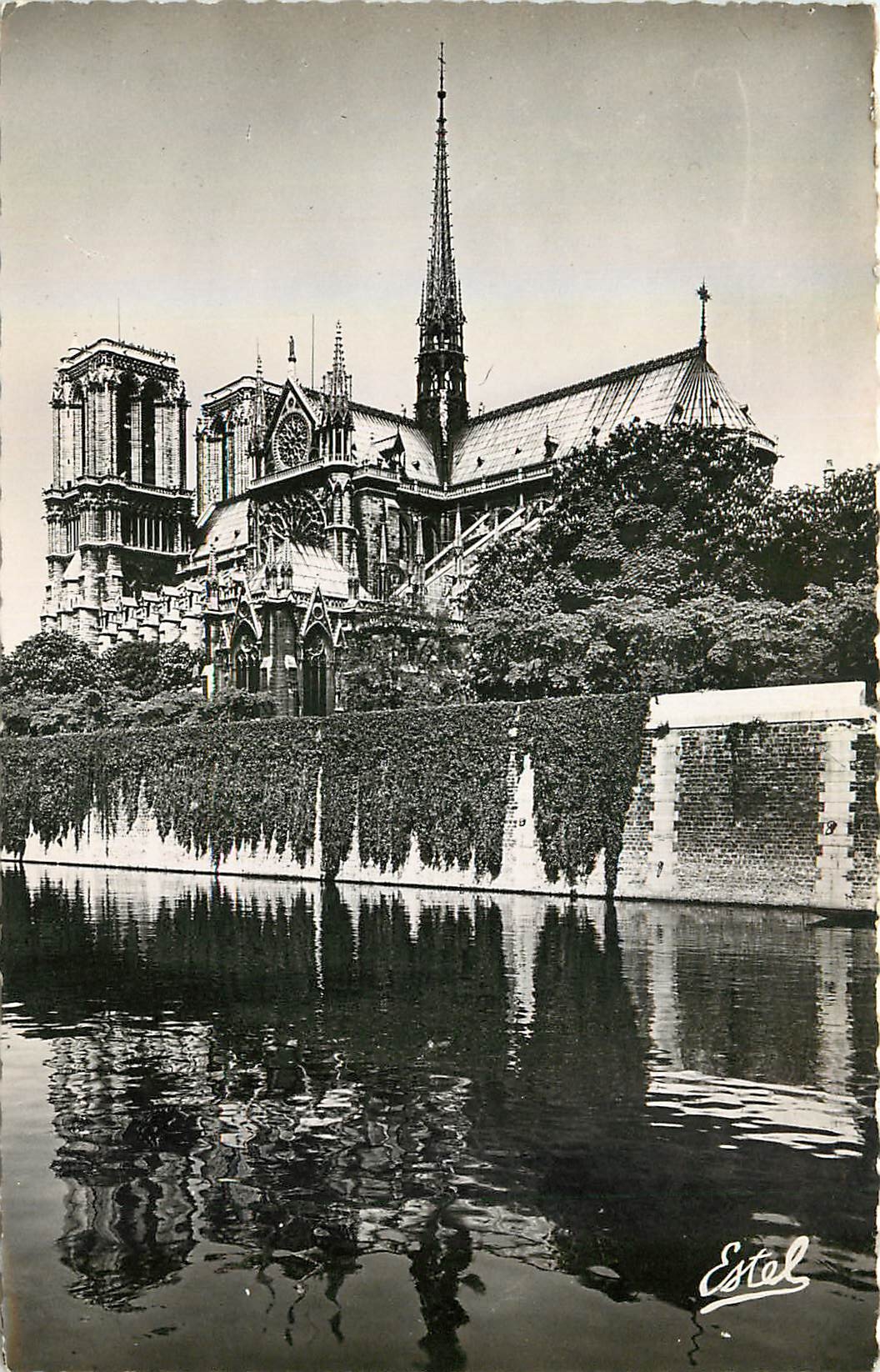 CPA Paris Notre Dame vue au bord de la Seine 