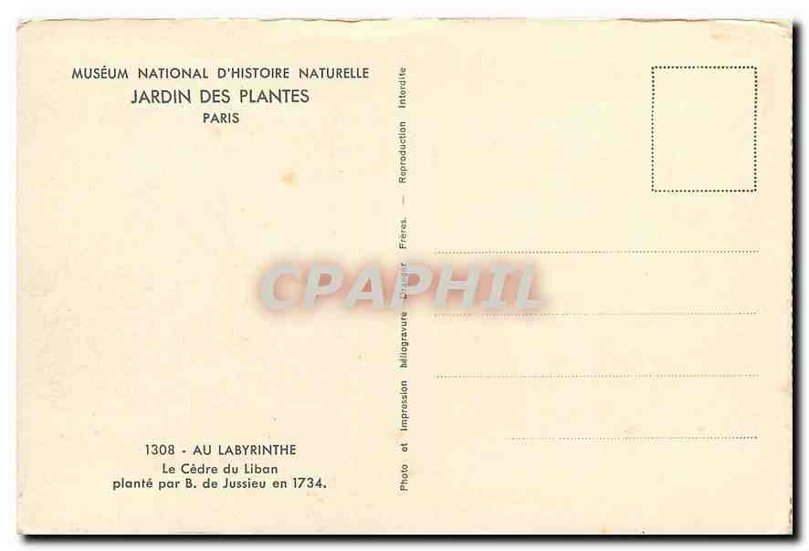 CPA Museum National d'Histoire Naturelle Jardin des Plantes Paris Au Labyrinthe Le Cedre du Liban  — Rückseite