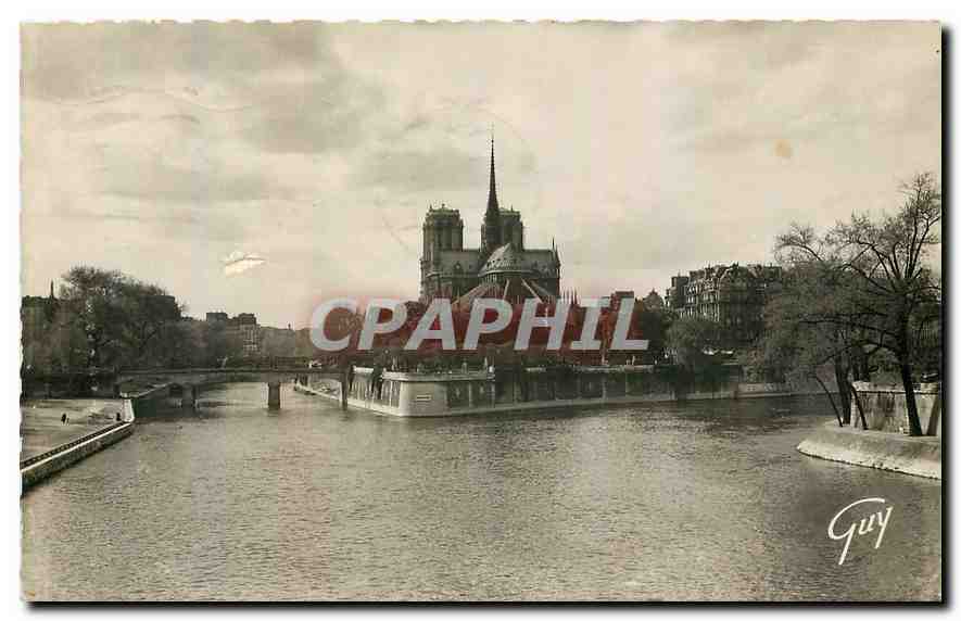 CPA Paris et ses merveilles l'Ile de la cite vue d'amont 