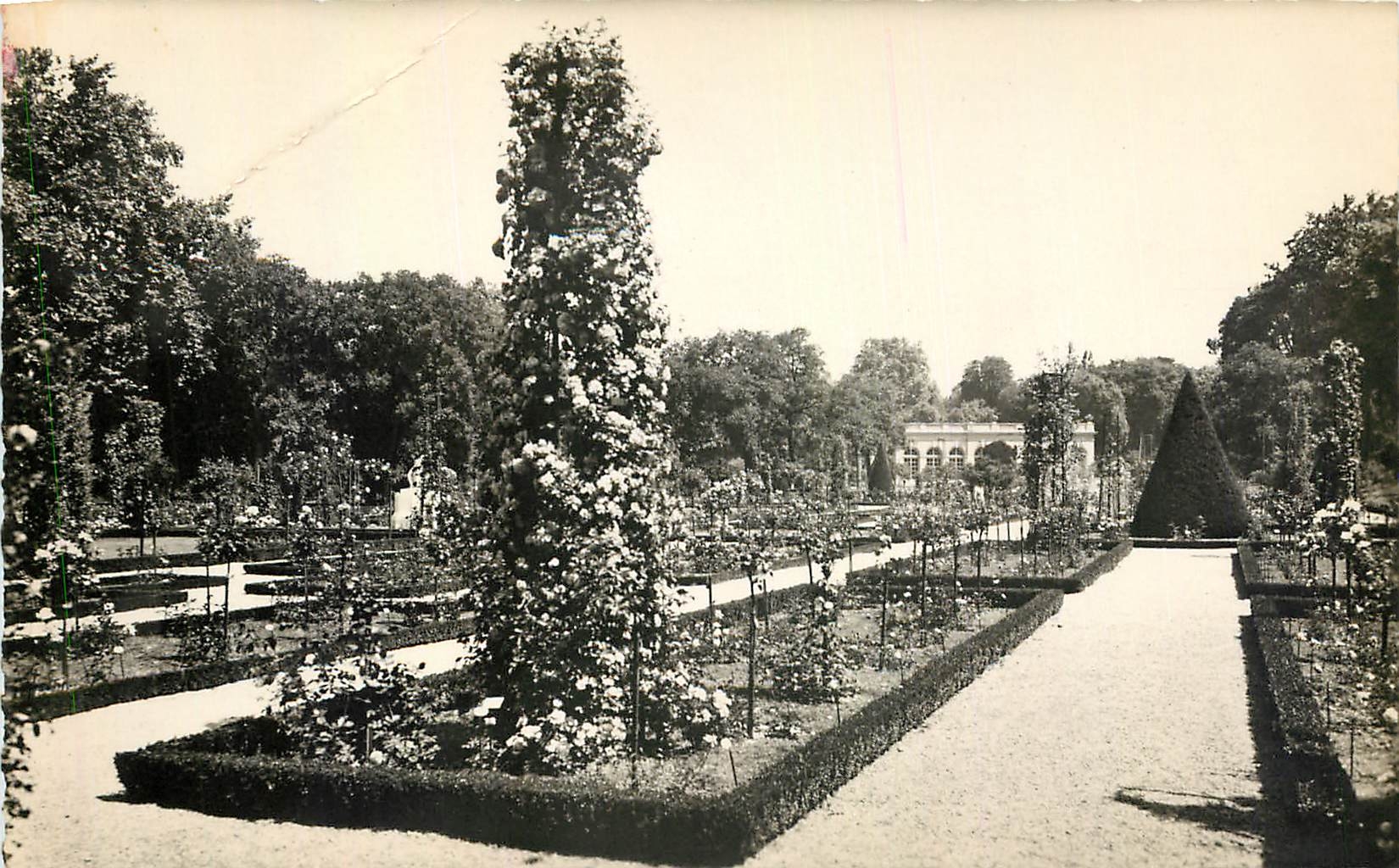 CPA Paris Bagatelle la Roseraie 