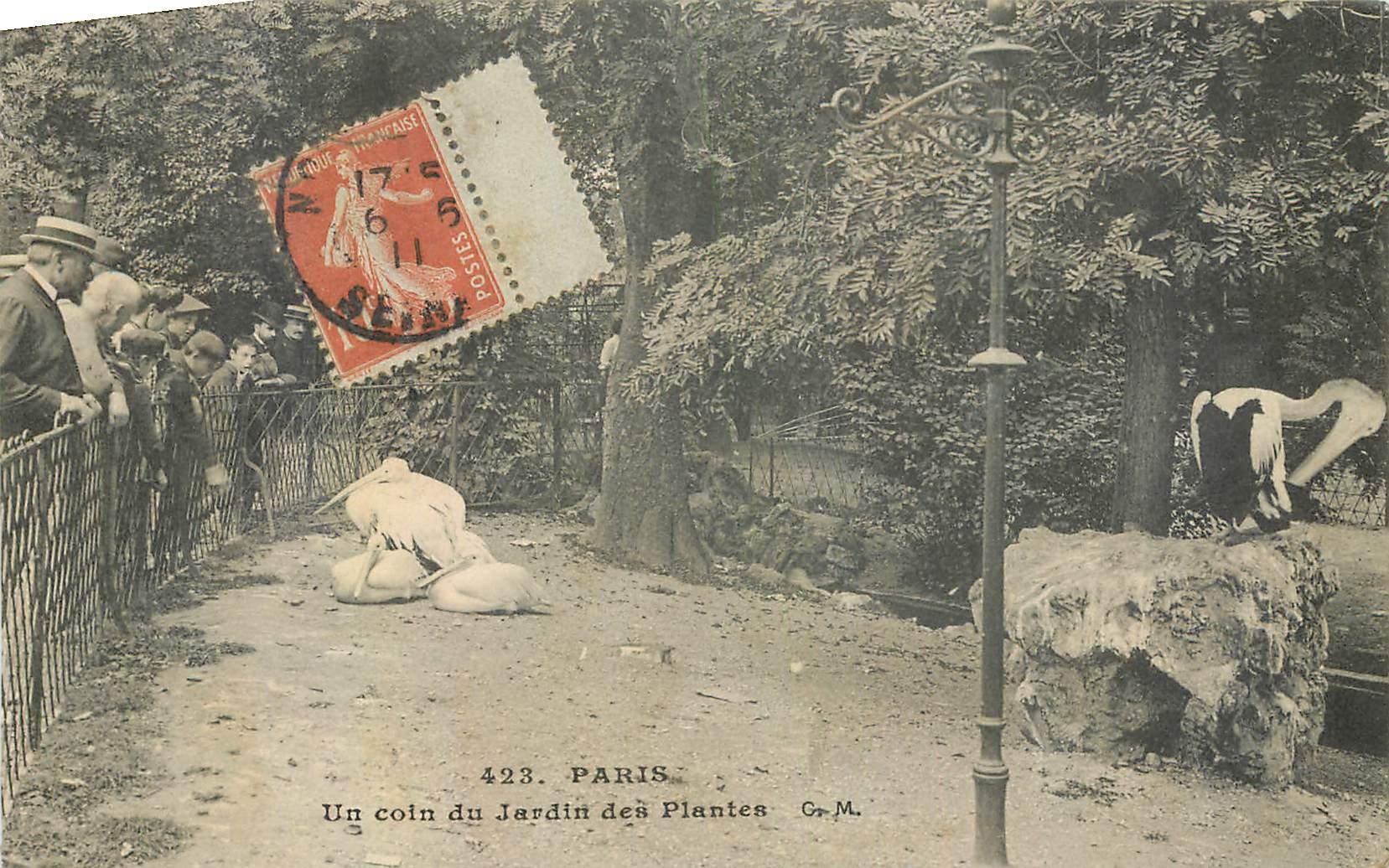 CPA Paris un coin du Jardin des Plantes Pelican Pelicans