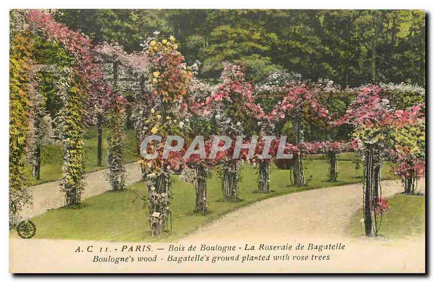 CPA Paris Bois de Boulogne la Roseraie de Bagatelle 