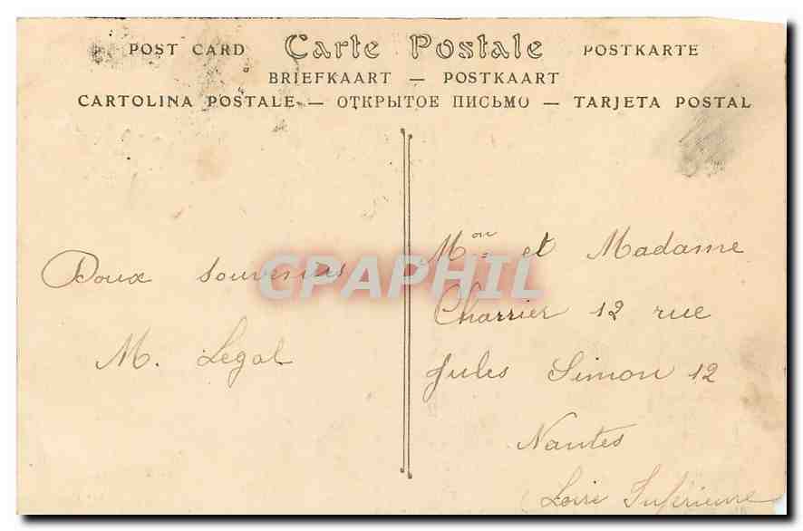 CPA Paris Le Palais du Trocadero Taureau Rhinoceros Elephant — Verso