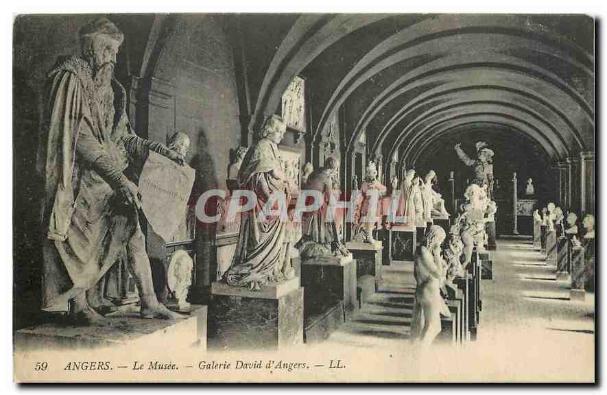 CPA Angers l Musee Galerie David d'Angers 