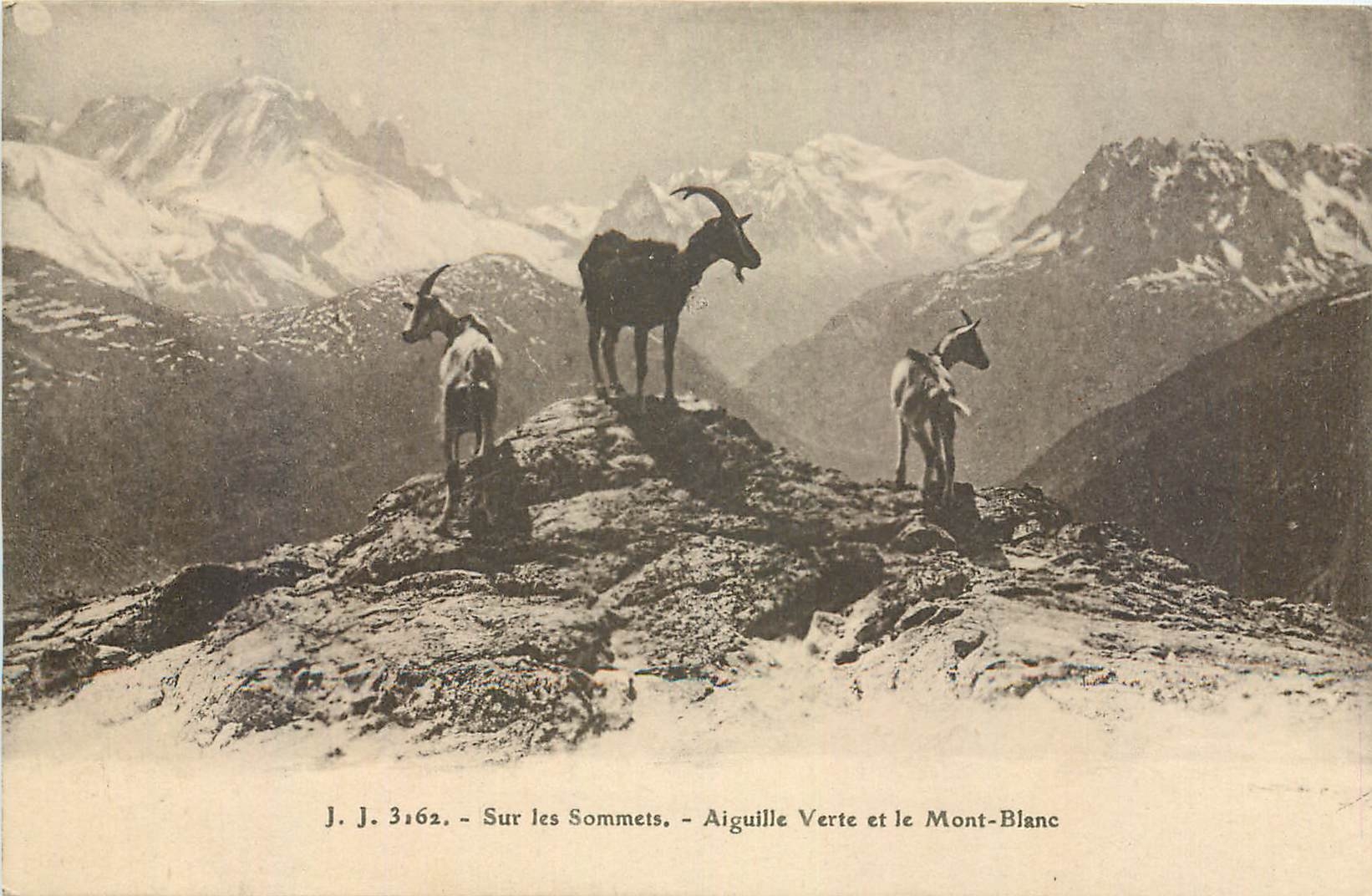 CPA Sur les Sommets Aiguille Verte et le Mont Blanc Chevres Chevre