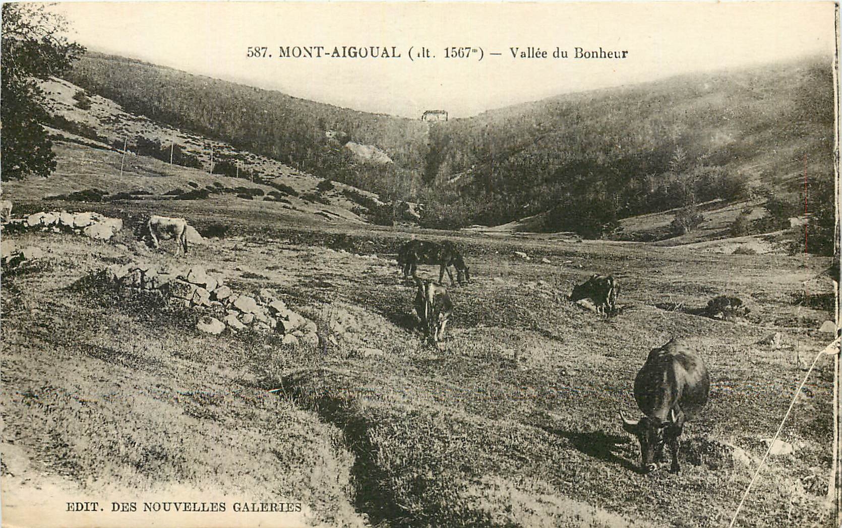 CPA Mont Aigoual Vallee du Bonheur Vaches