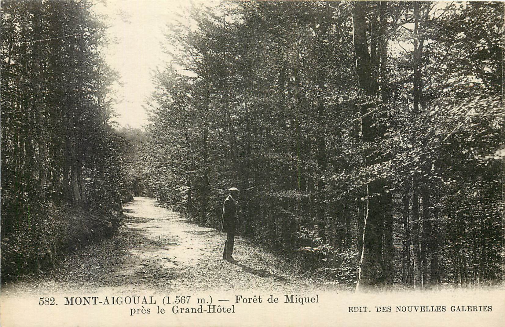 CPA Mont Aigoual Foret de Miquel pres le Grand Hotel 