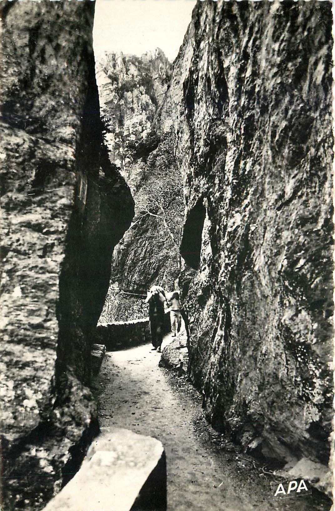 CPA Amelie les Bains Pyr Or Gorges du mondonu Rocher Castellane 