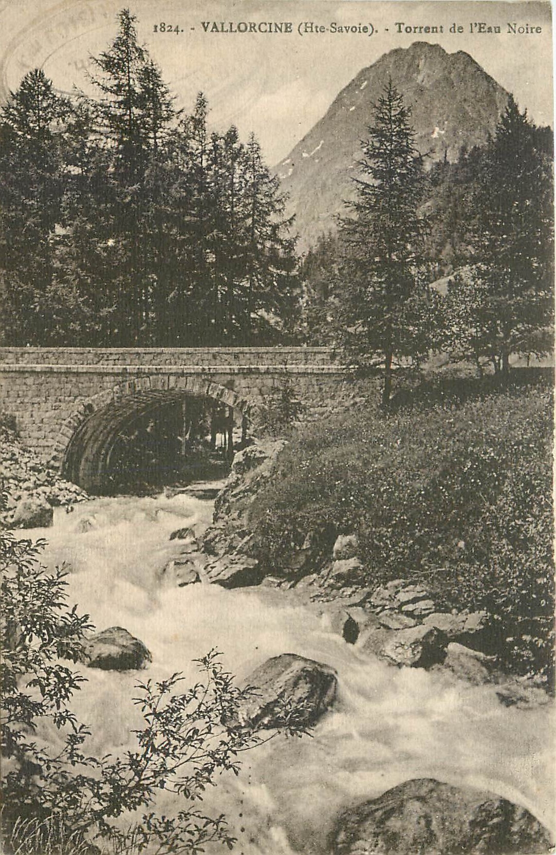 CPA Vallorcine Hte Savoie Torrent de l'Eau Noire 