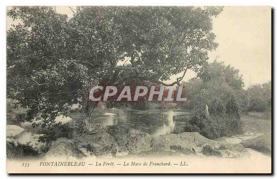 Fontainebleau — La Forêt — La Mare de Francbard — LL. — n°133