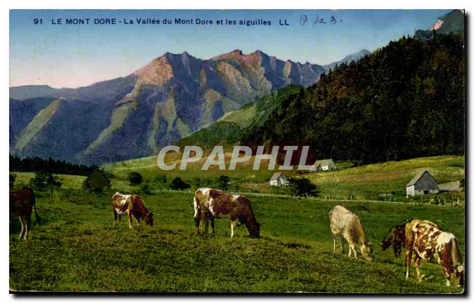 Le Mont Dore - La Vallée du Mont Dore et les aiguilles — LL — n°91