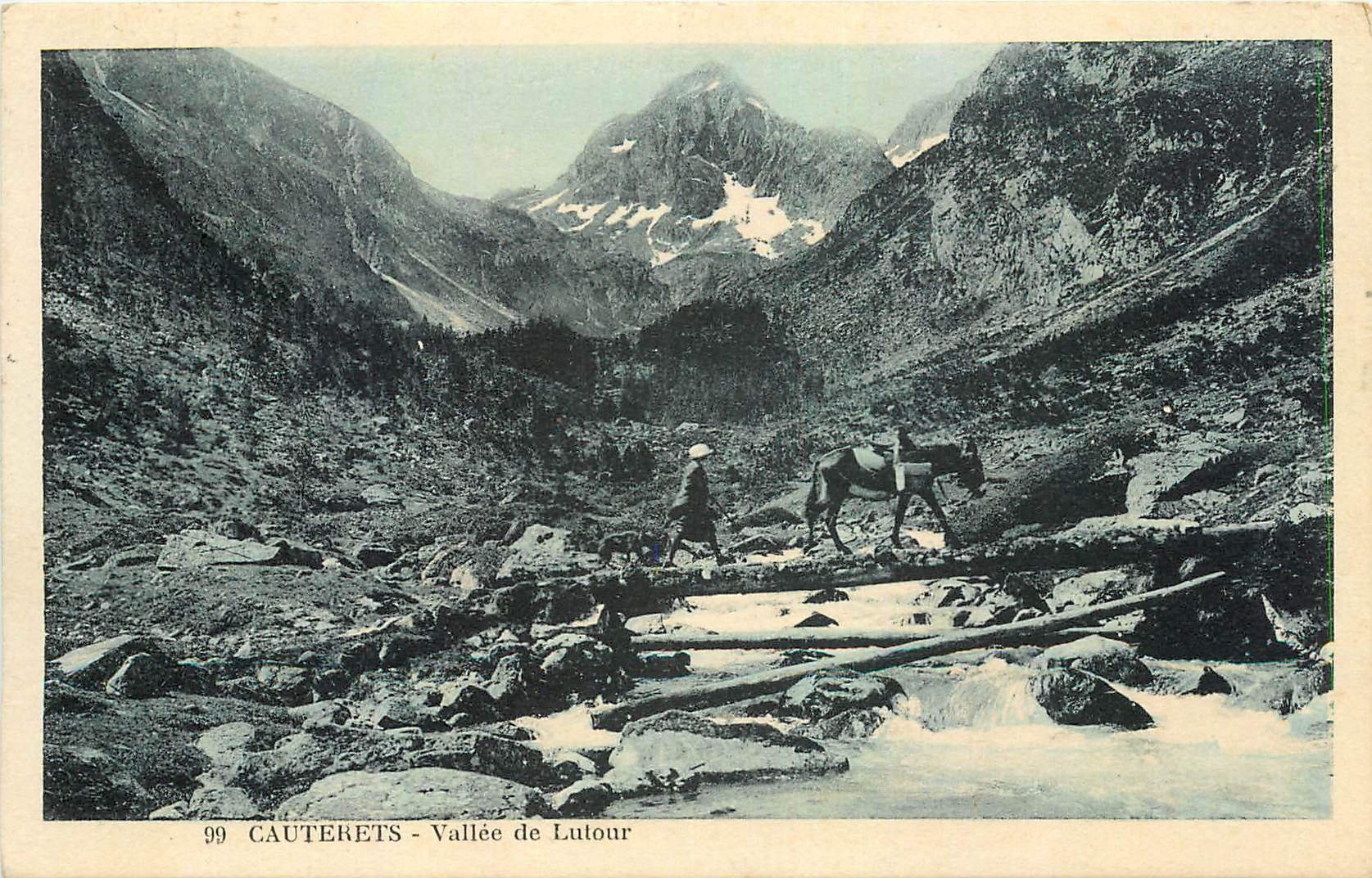 CPA Cauterets Vallee de Lutour Ane Mule