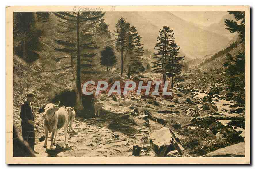CPA Les Pyrenees sur la route du Lac d'Estom Vache