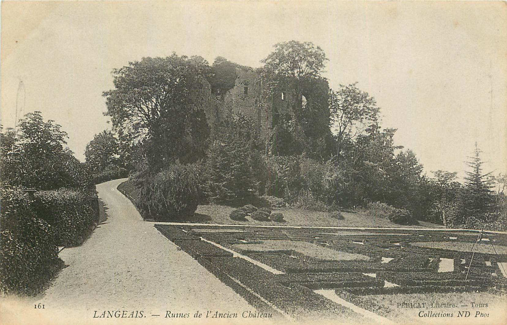 CPA Langeais Ruines de l'Ancien Chateau 