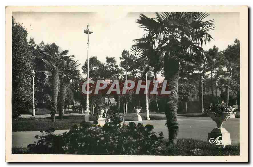 CPA La Baule les pins la place des palmiers 