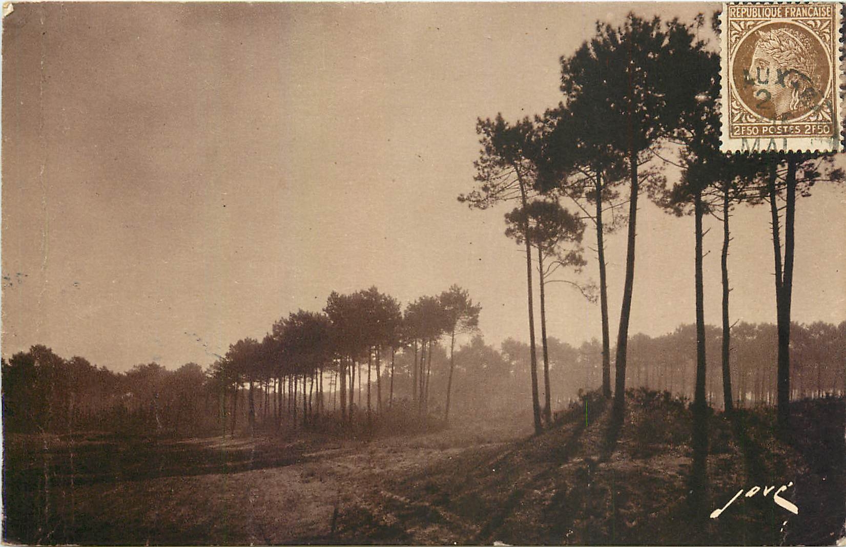 CPA Bassin d'Arcachon Gironde douce matinee d'automne aux dunes dans la foret