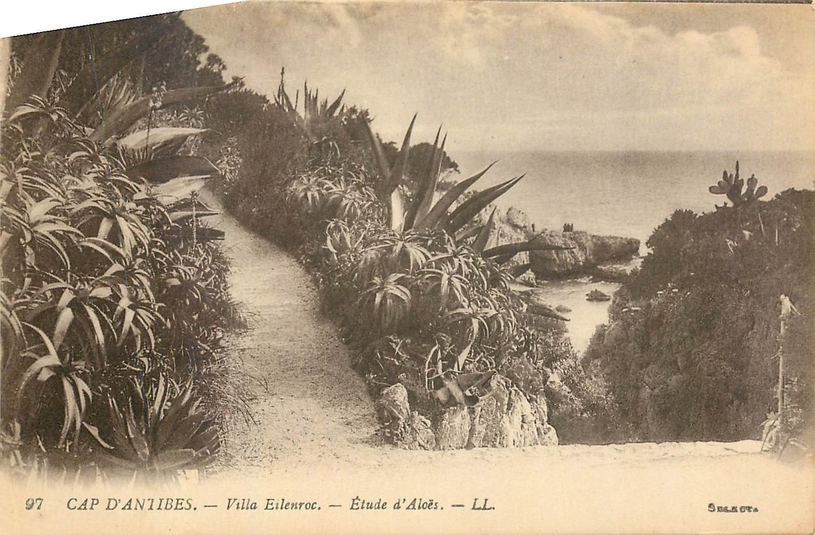 CPA Cap d'Antibes Ville Eslenroc Etude d'Aloes 