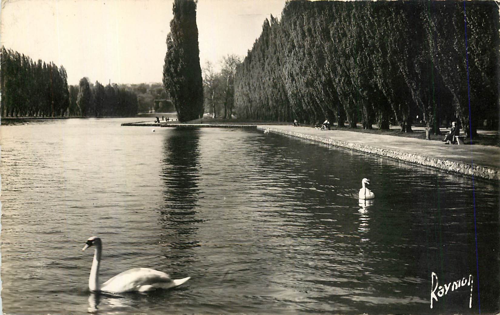 CPA Images de France Le Parc de Sceaux Seine Les Cygnes sur le Lac 