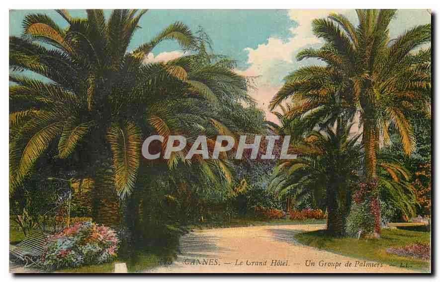CPA Cannes Le Grand Hotel Un Groupe de Palmers 