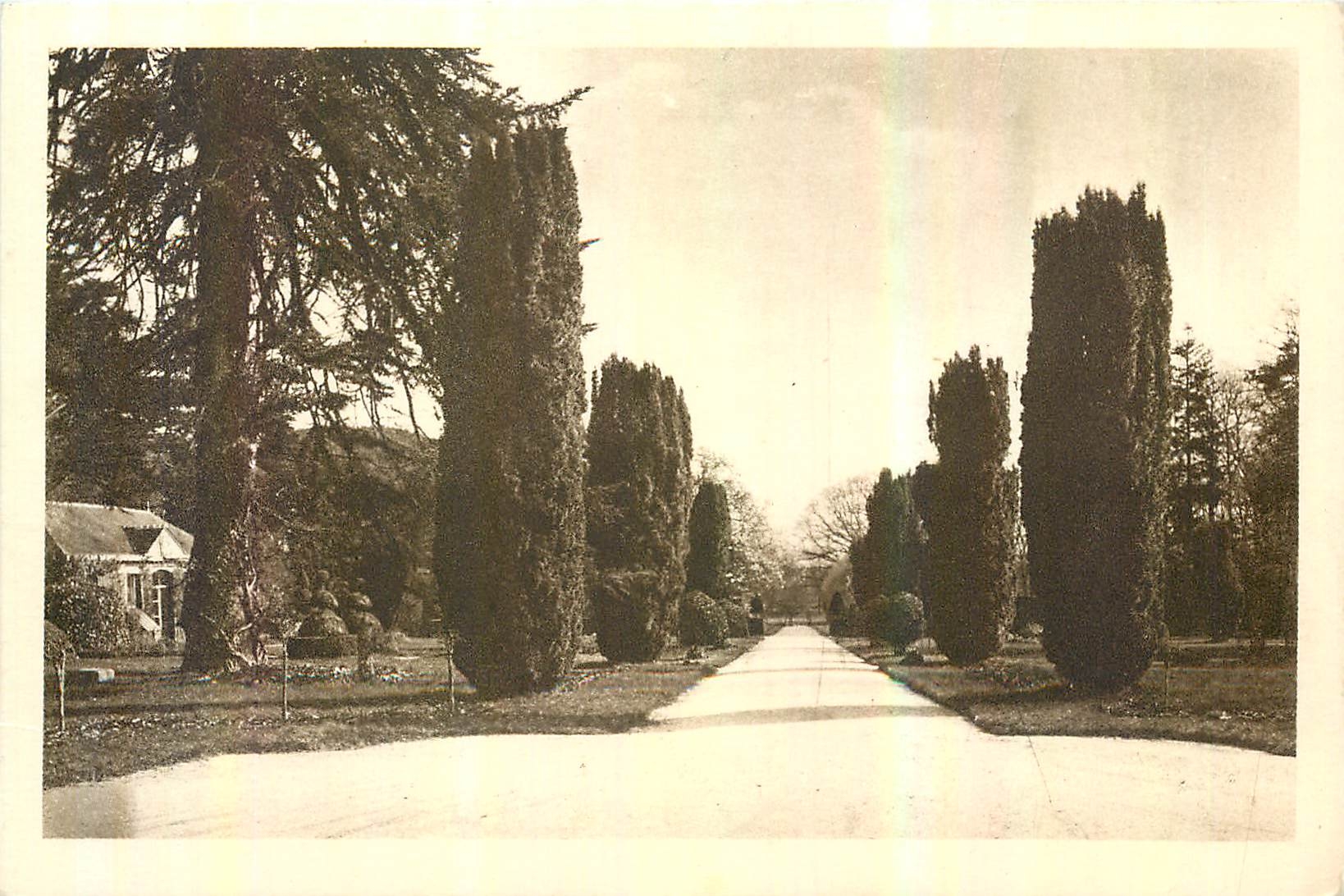 CPA Janze L et V Le Chateau de la Jaroussaye les Parterres 