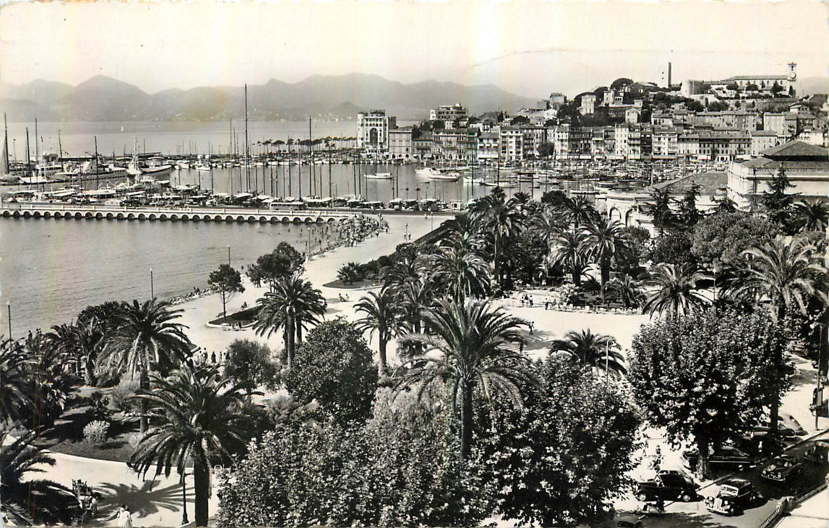 CPA La Cote d'Azur Cannes Le Jardin 