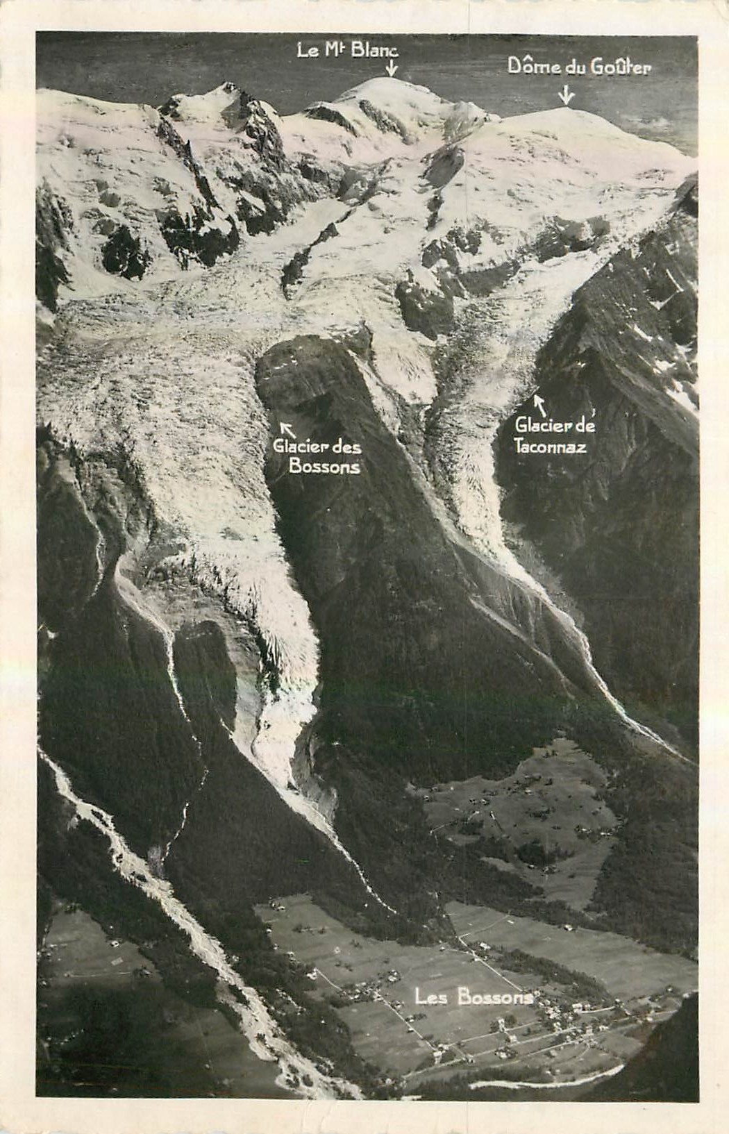 CPA Chamonix Les Bossons et le Mont Blanc 