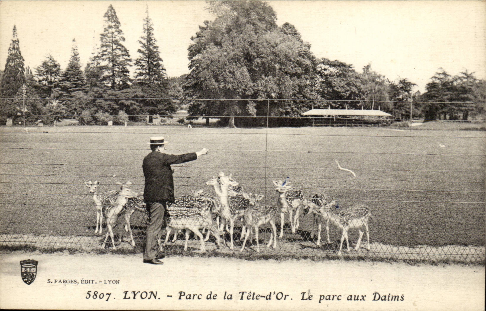 LYON. - Parc de la Tête-d'Or. Le parc aux Daims — S. FARGES, ÉDIT. - LYON. 5807