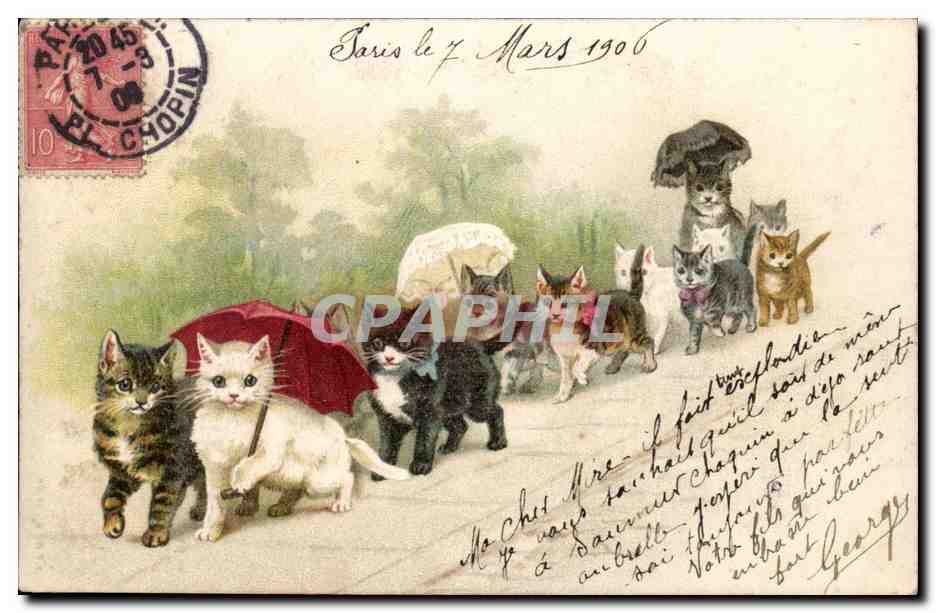 Fantaisie CPA Voeux chats (cats katze)