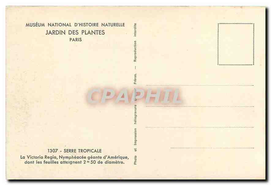 CPA Musee National d'Histoir Naturelle Jardin des Plantes Paris Serre Tropicale la Victoria Regia Ny — Verso