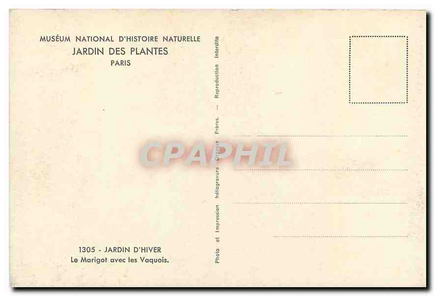 CPA Musee National d'Histoir Naturelle Jardin des Plantes Paris Jardin d'Hiver le Marigot avec les V — Rückseite