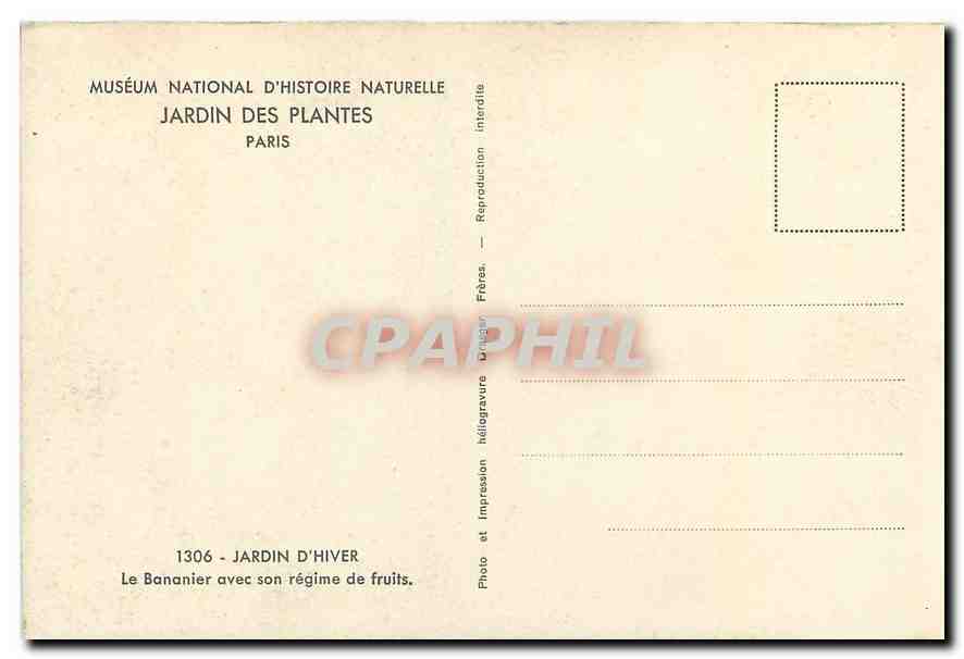 CPA Musee National d'Histoir Naturelle Jardin des Plantes Paris Jardin d'Hiver le Bananier avec son  — Rückseite