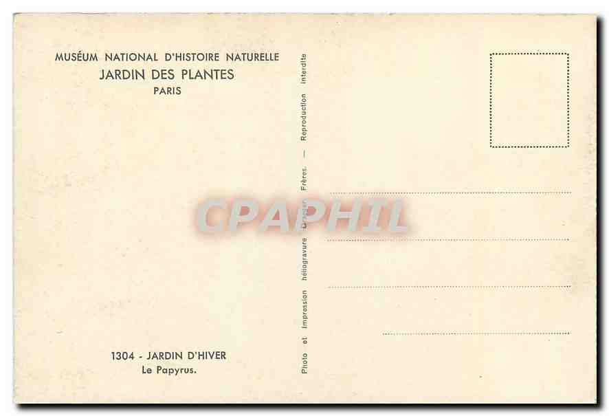 CPA Musee National d'Histoir Naturelle Jardin des Plantes Paris Jardin d'Hiver le Papyrus  — Rückseite
