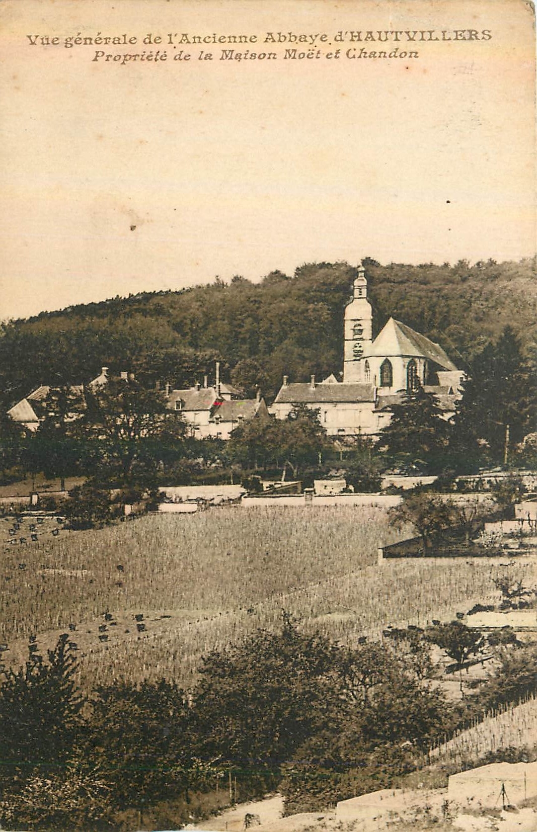 CPA Vue generale de l'Ancienne Abbaye d'Hautvillers Propriete de la Maison Moet et Chandon 