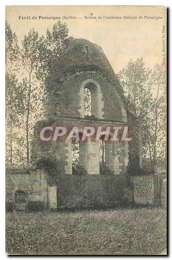 CPA Foret de Perseigne Sarthe Ruines de l'ancienne Abbaye de Perseigne 