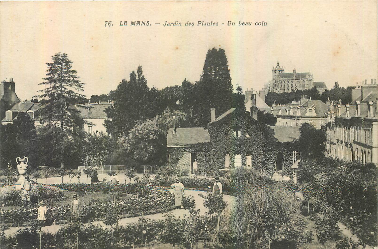 CPA Le Mans Jardin des Plantes un beau coin 