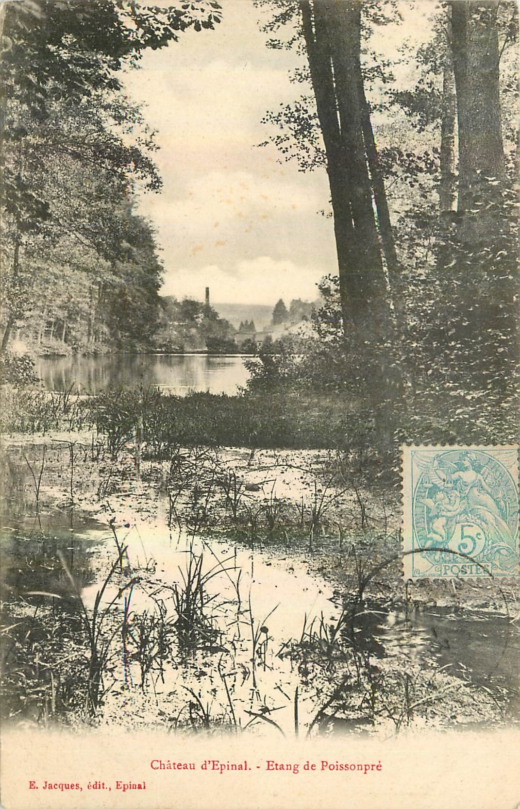 CPA Chateau d'Epinal Etang de Poissonpre 