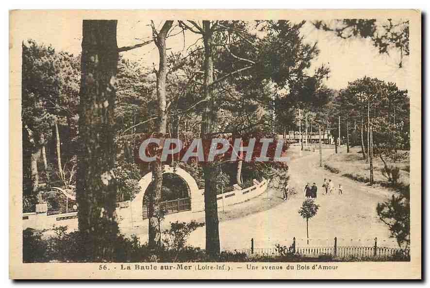 CPA La Baule sur Mer Loire Inf une avenue du Bois d'Amour 