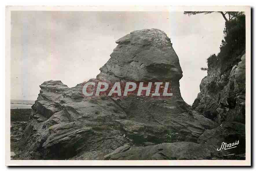 CPA La Bernerie L I Le Rocher de Roche grise 