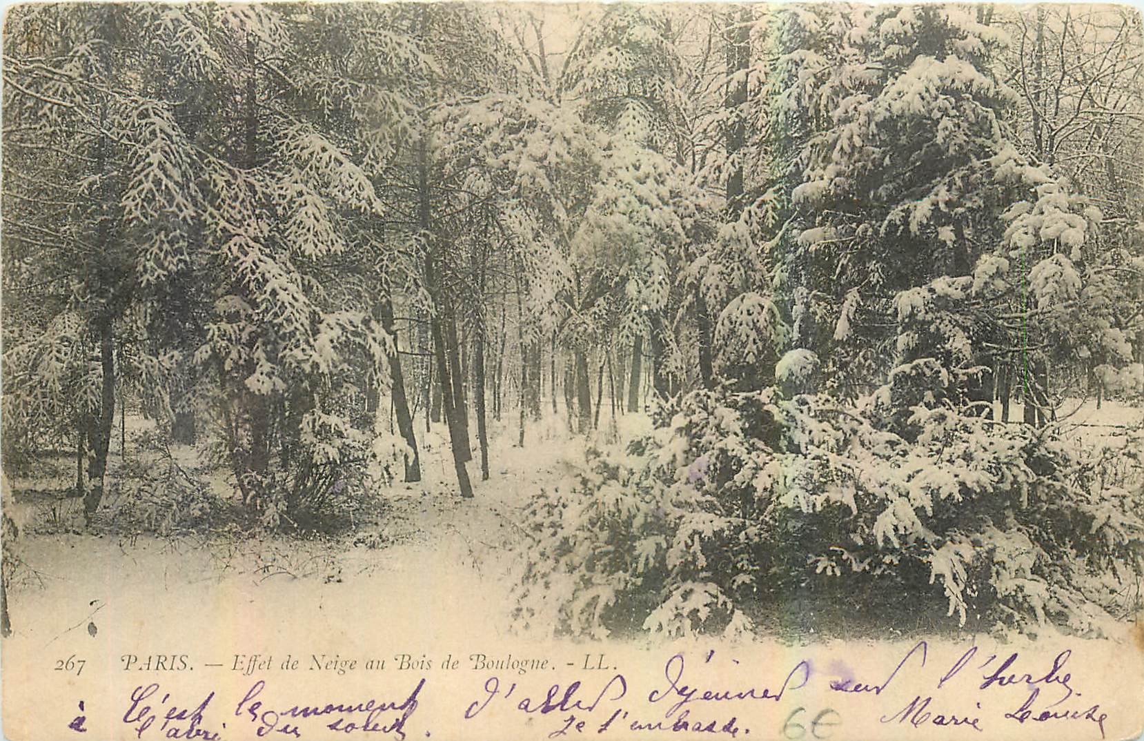 CPA Paris Effet de Neige au Bois de Boulogne 