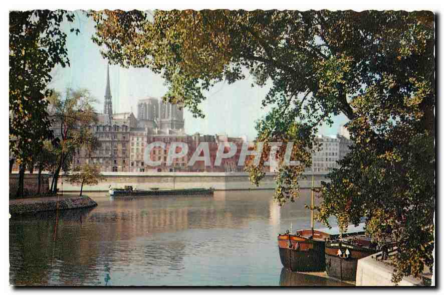 CPA Paris la Seine et Notre Dame 