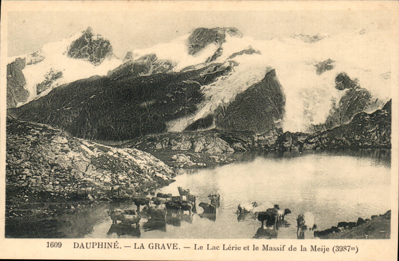 DAuphine CPA La Grave Le lac Lerie et le massif de la Meije (3987m) (vaches)