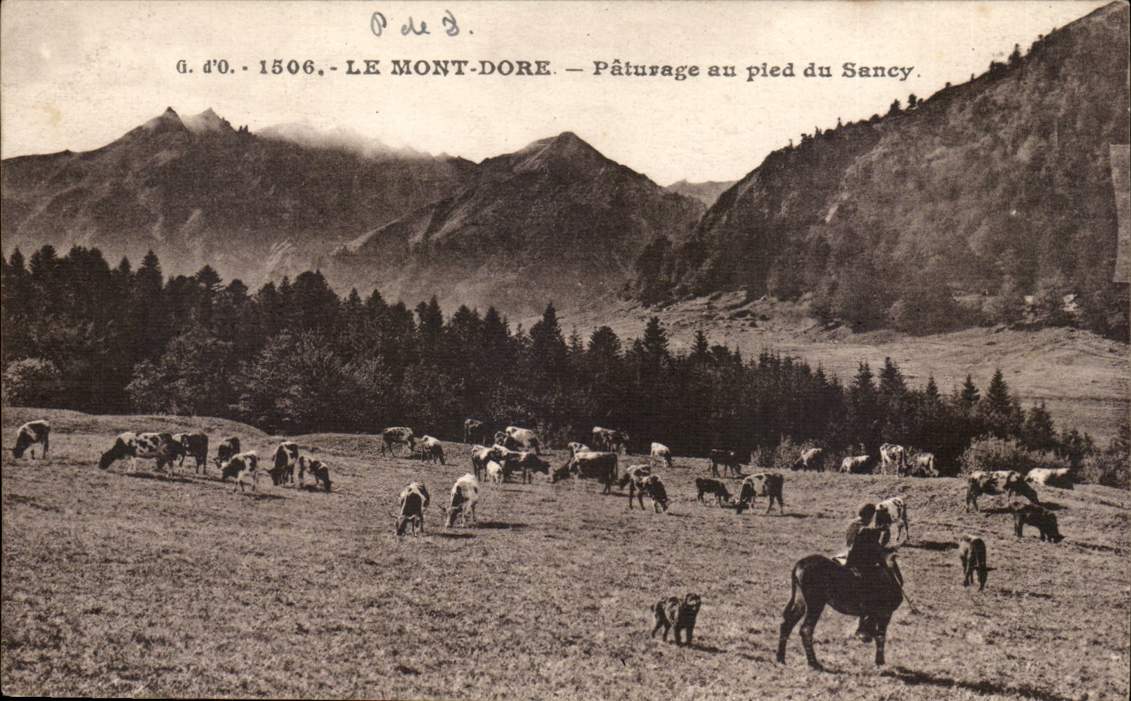 Le Mont Dore CPA Paturage au pied de Sancy (vaches)