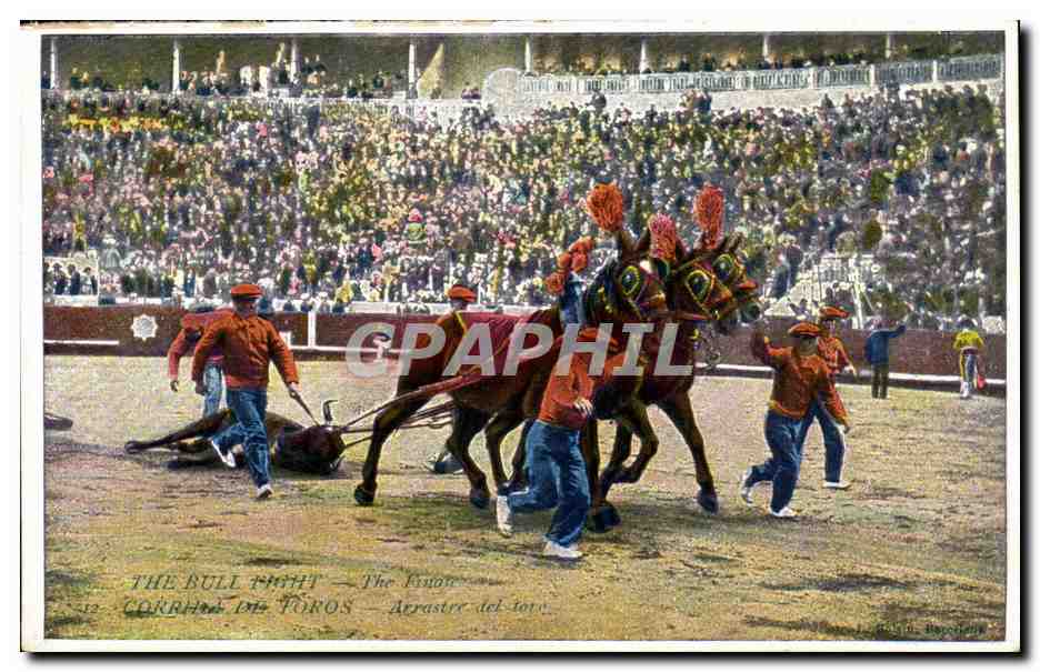 CPA Corrida de Toros Arrastre del tore (taureau corrida)