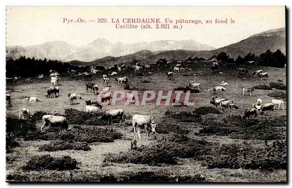 LA CERDAGNE — Un pâturage, au fond le Carlitte (alt. 2.921 m.) — Pyr.-Or. — 329
