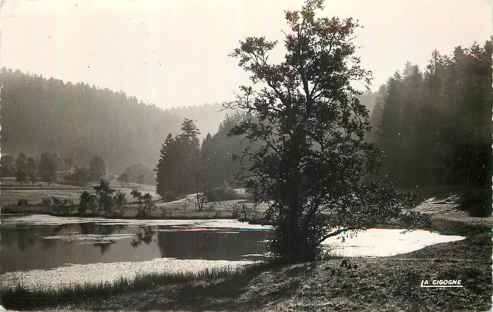 CPA Les Vosges Pittoresques Le Refuge d'Herival 