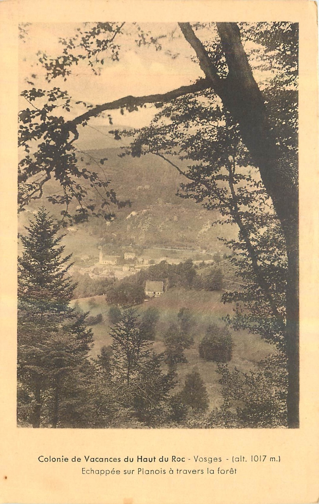 CPA Colonie de Vacances du Haut du Roc Vosges Echappee sur Planois a travers la foret 