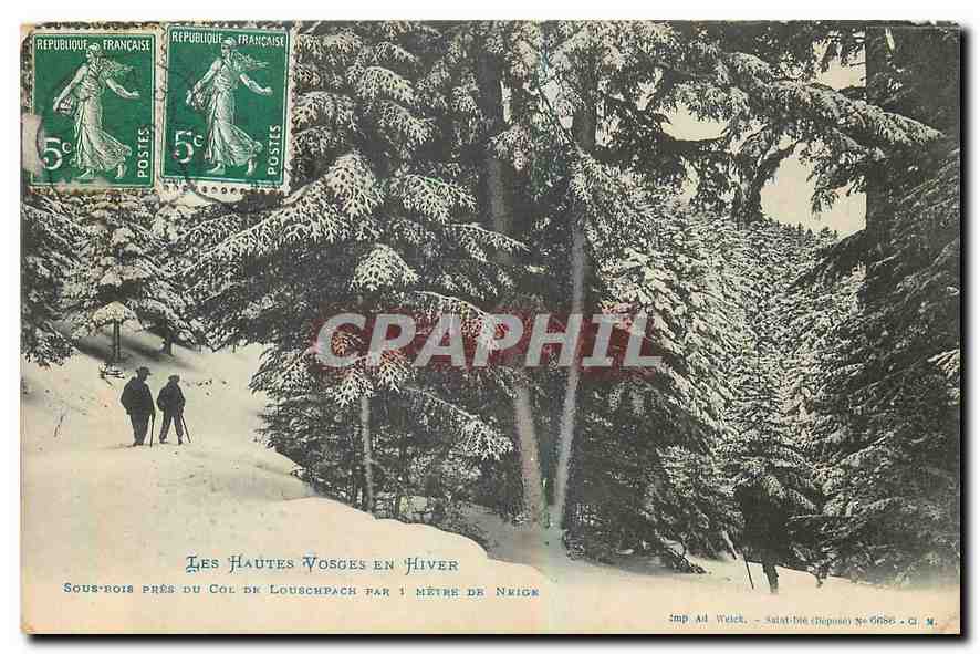CPA Les Hautes Vosges en Hiver Sous bois pres du Col de Louscurch 