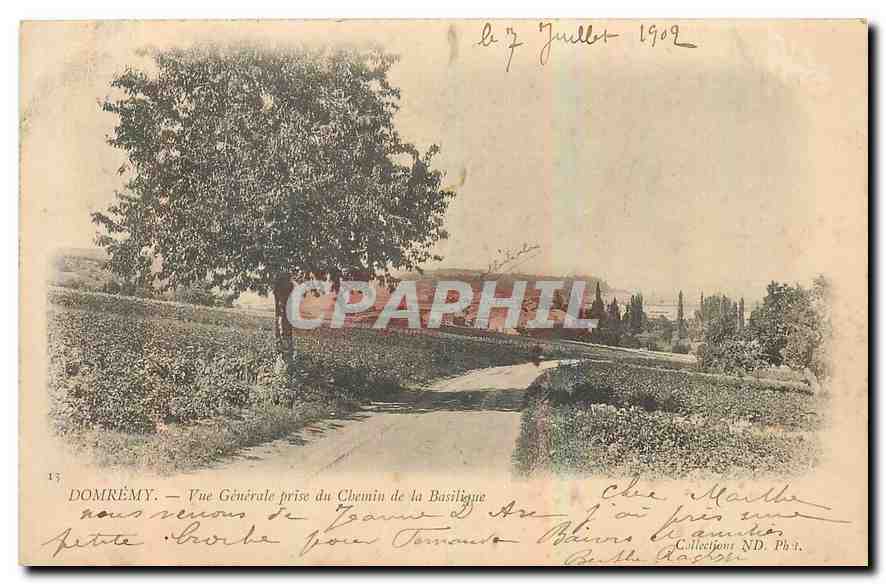CPA Domremy Vue generale prise du Chemin de la Basilique 